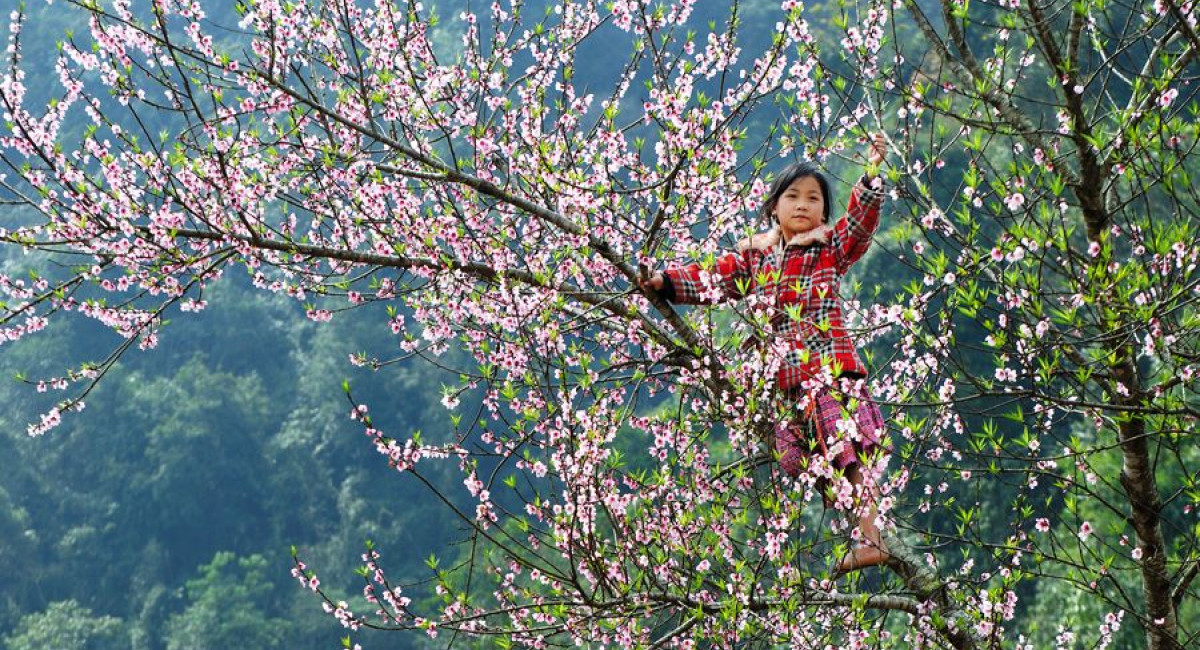 Chọn lọc các địa điểm chơi Tết xa nhà dành cho gia đình