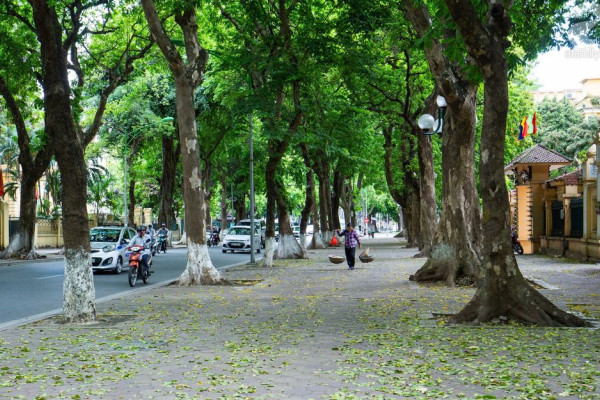 Những con đường đẹp nhất ở Hà Nội