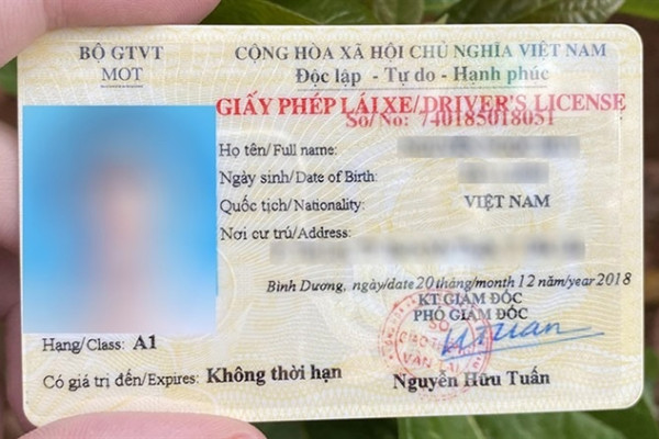 Cách tra cứu giấy phép lái xe nhanh chóng, chính xác nhất 2025
