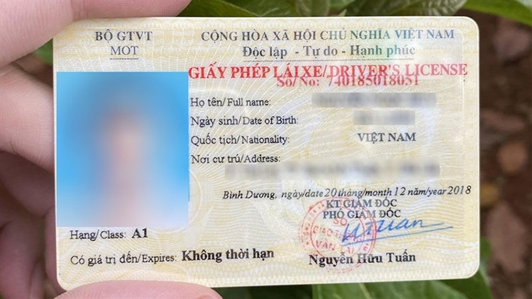 Cách tra cứu giấy phép lái xe nhanh chóng, chính xác nhất 2025