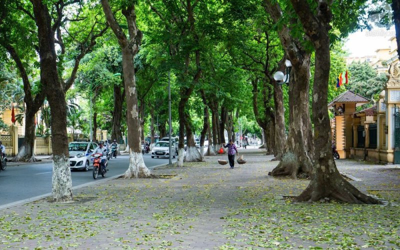Những con đường đẹp nhất ở Hà Nội