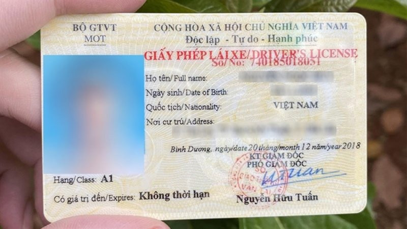 Cách tra cứu giấy phép lái xe nhanh chóng, chính xác nhất 2025