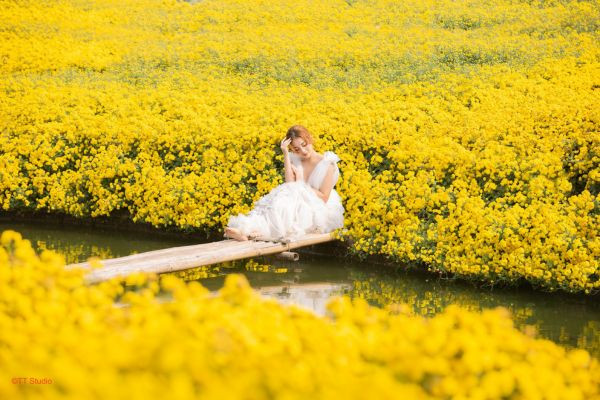 thung lũng hoa Hồ Tây