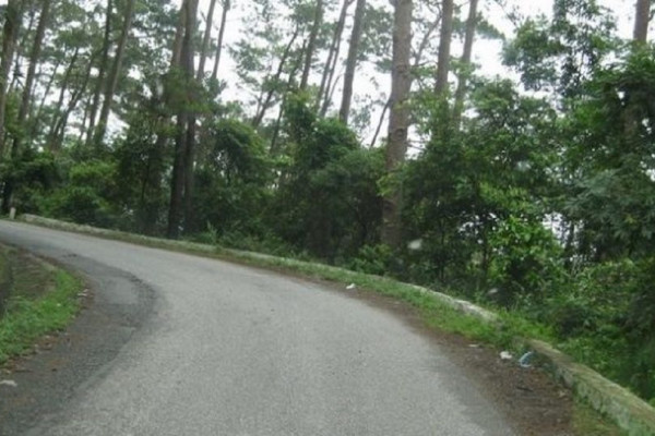 XE BUÝT, XE KHÁCH ĐI TAM ĐẢO – HƯỚNG DẪN CÁCH ĐI CHI TIẾT (UPDATE)